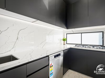 47  Feathertail Avenue, Marsden Park