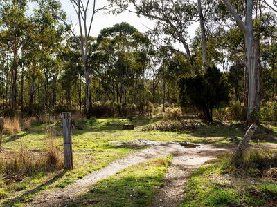 43 Fryers Road, Campbells Creek