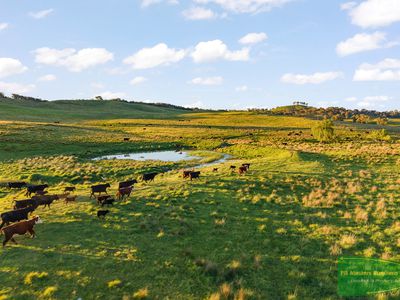 351 Shepherds Creek Road, Euchareena