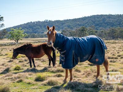 1651 Shannon Vale Road, Shannon Vale