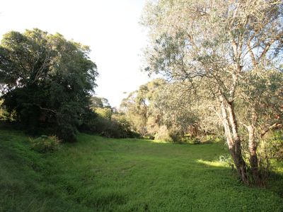 34 Johnson Avenue, Rye