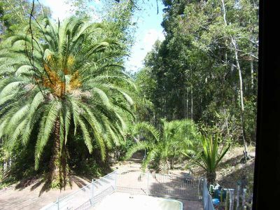 Cooranbong