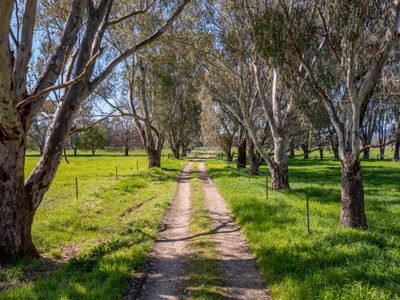 Lot 2, 56 Baileys Lane, Whorouly