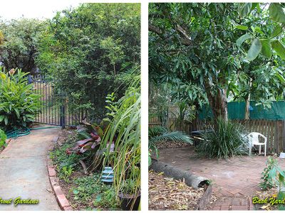 11 Aurora Street, East Lismore