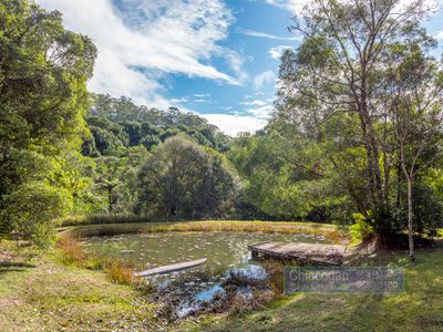 167 Goonengerry Mill Road, Goonengerry
