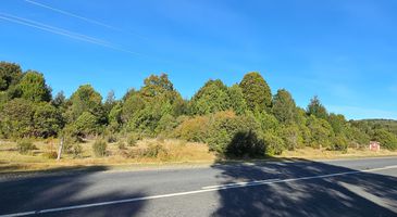 891 Waratah Road, Waratah