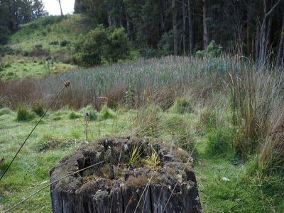 Lot 1 Kalonga Road, Nicholls Rivulet