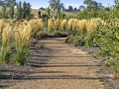 98 Mt Battery Road, Mansfield