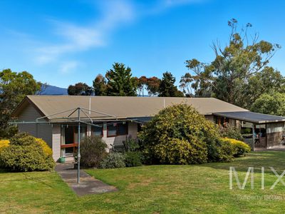 23 Redside Drive, Brighton