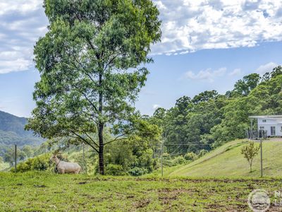 1 Geles Road, Upper Burringbar