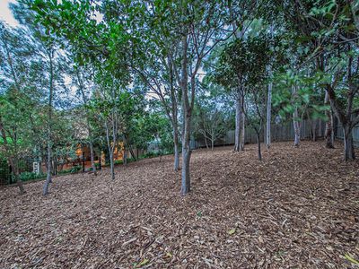17 Barwin Street, Wakerley