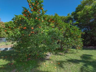 40 Junction Road, Cootharaba