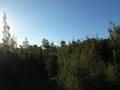 Lot 2, 7743 Huon Highway, Strathblane