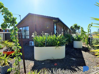 10 Honeysuckle Street, Eaglehawk