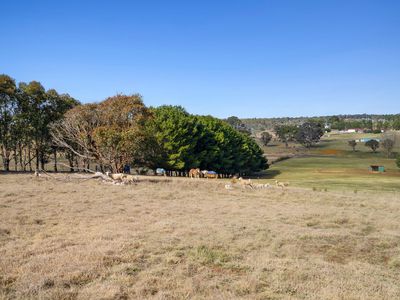 57 Hewitts Lane, Grabben Gullen via, Crookwell