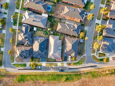 50 Hal Porter Terrace, Lynbrook