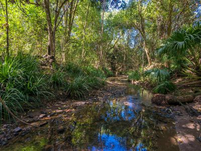 188 Stony Chute Road, Nimbin