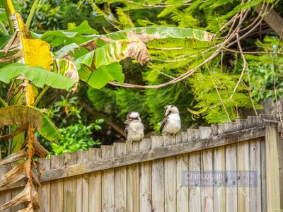 4 Yoorana Glen, Ocean Shores