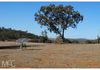 136 McLachlan Road, Manildra