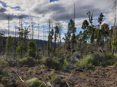 Lot 1 Oigles Road, Geeveston