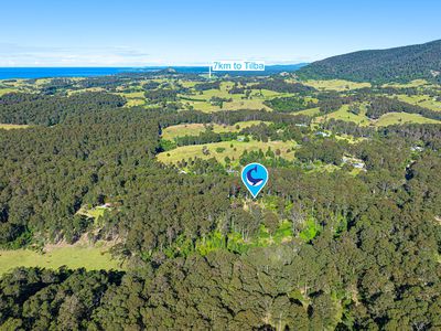 212 Ridge Road, Central Tilba