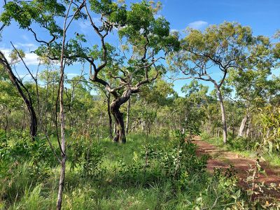 2554 Mulligan Highway Road, Cooktown