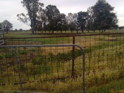 250 Pipers Road, Leitchville