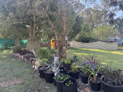 32 Appin Street West, Nanango