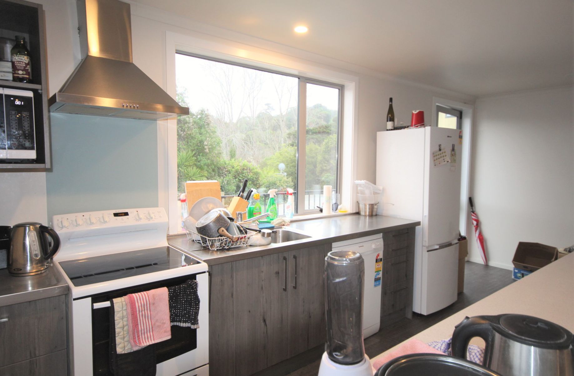 170 Dundas Street, North Dunedin