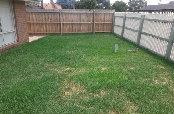 1 / 6 Abercarn Avenue, Craigieburn