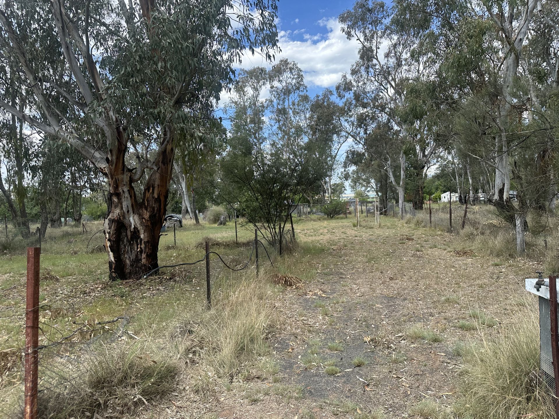 34 Bomera Street, Premer