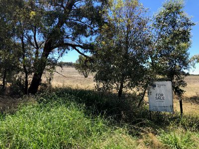 CA 32 Korong Vale-Wychitella Road, Woolshed Flat