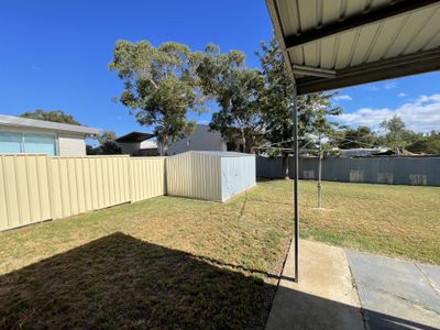 19 Terry Street, Tamworth