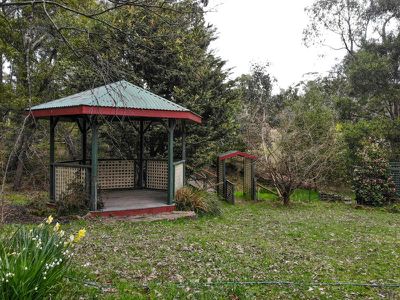 1310 Old Tolmie Road, Tolmie
