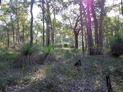 390 Robinson Road, Mahogany Creek