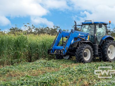 Lot Plain View South, 916 Emmaville Road, Glen Innes