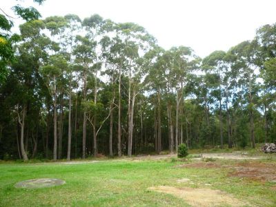 3 Robertson Place, Ulladulla