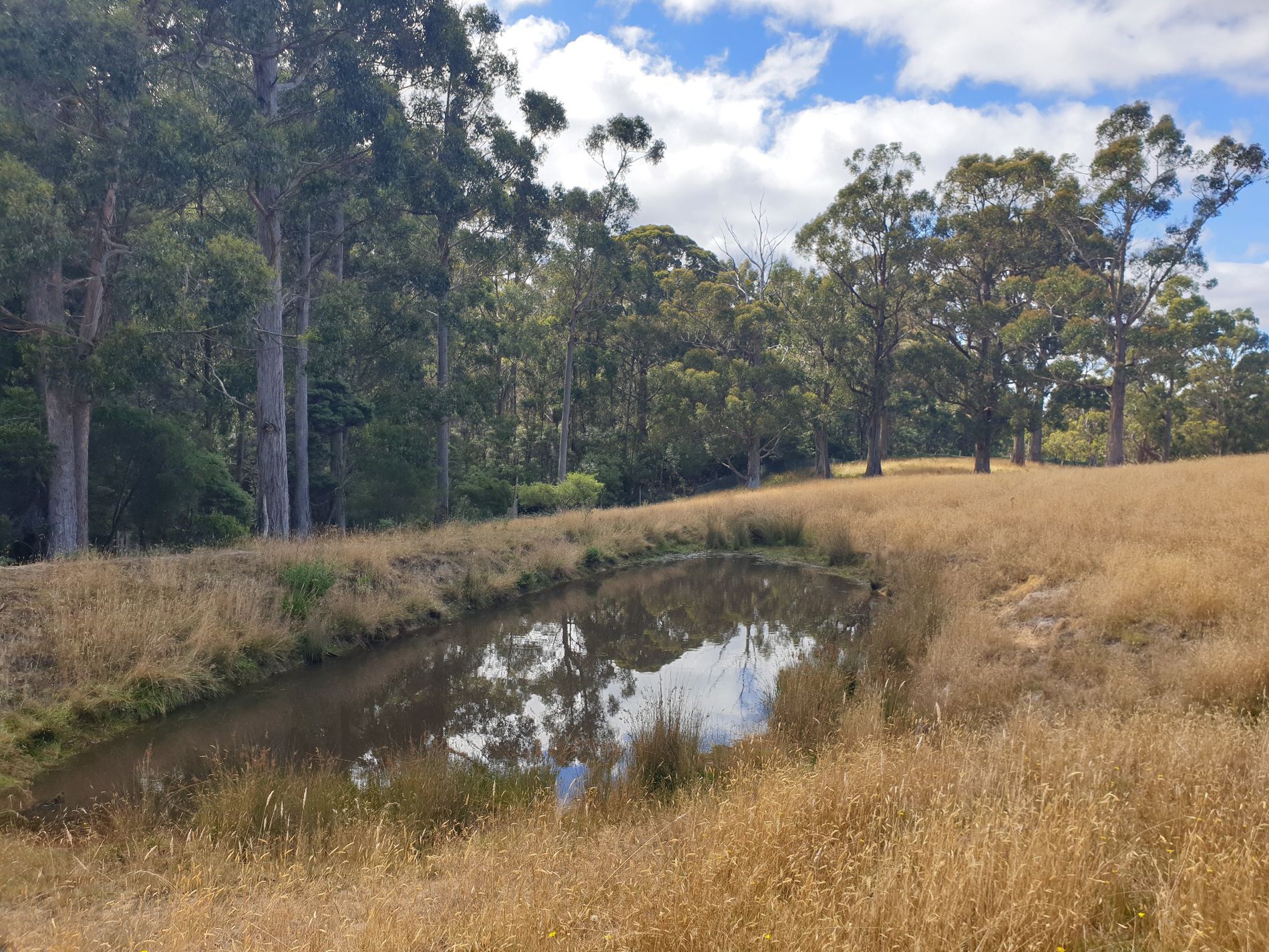 Lots 1 & 3 Plummers Road, Southport