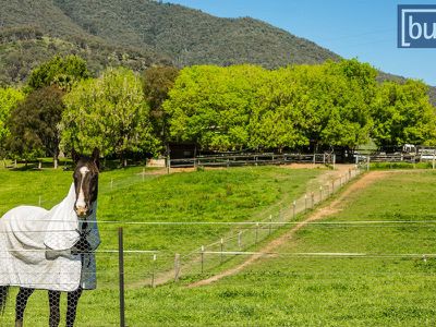 1161 Yackandandah-Dederang Road, Dederang