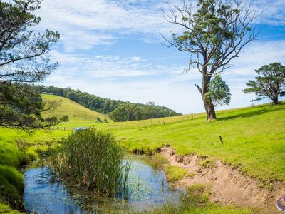 8217 Princes Highway, Central Tilba