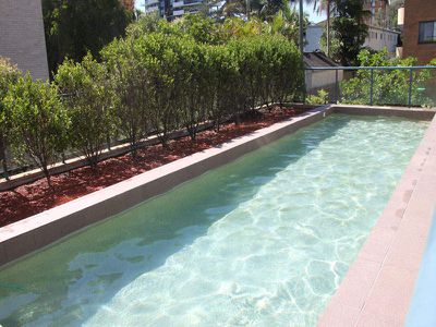 802 / 21-25 Wallis Street , Forster