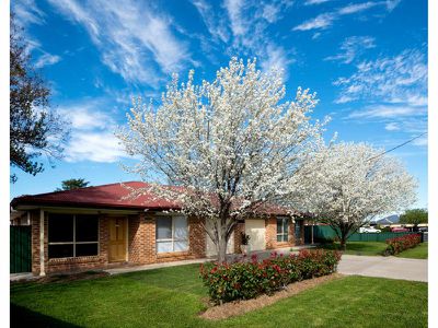 1 / 270 Darling Street, Dubbo