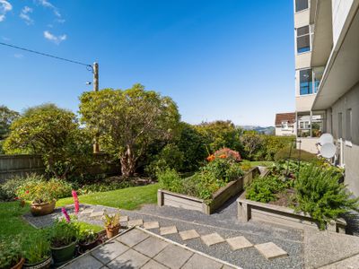 8 / 38 Drivers Road, Maori Hill