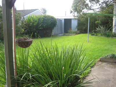 19 Lachlan Ave, Barrack Heights