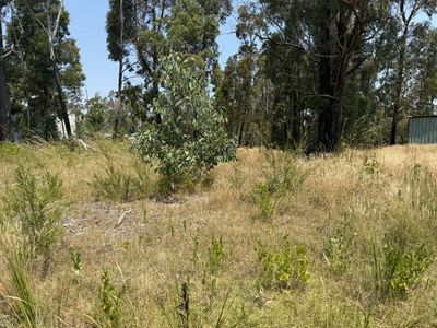 69 Karbeethong Avenue, Mallacoota