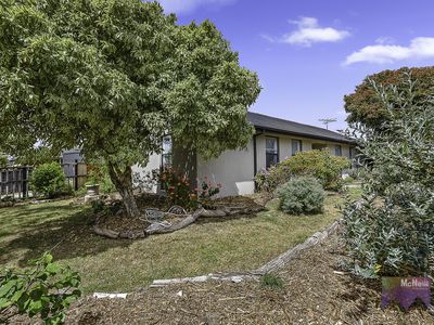 16 Hardy Street, Mornington