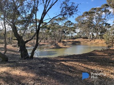 1 Bendigo-Maryborough Road, Shelbourne