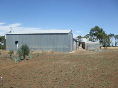1163 Minyip-Dimboola Road, Kewell East via, Horsham