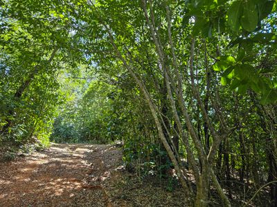 72 Mulligan Highway, Cooktown