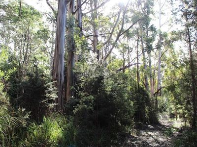 Land Off Steeles Road, Nicholls Rivulet